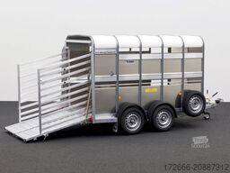 Ifor Williams TA5|10x6|RAMPE-/TÜR-KOMBI 311X156X183cm