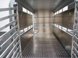 Ifor Williams TA5|10x6|RAMPE-/TÜR-KOMBI 311X156X183cm