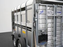 Ifor Williams TA5|10x6|RAMPE-/TÜR-KOMBI 311X156X183cm