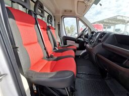 FIAT Ducato 150MJET TIEFKÜHLER/ 8 PAL/ AHK