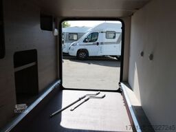 Carado T 447