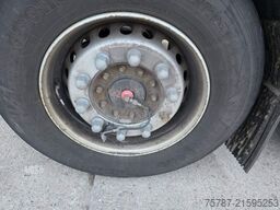 WIELTON Containerchassis mit Heckausschub, Heckausschub