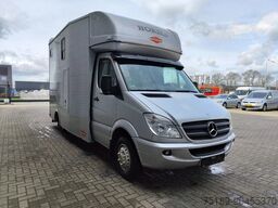 Mercedes-Benz Sprinter 515 CDI Böckmann Horsetruck 24.500 KM ...