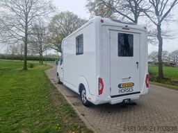 Renault Master STX S3 Pro-Safety hengsten uitvoering pa...