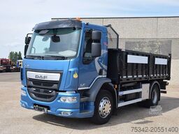 DAF LF 310