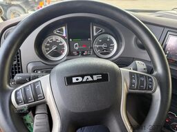 DAF XF 480 XF 480