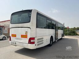 MAN Lion's Intercity