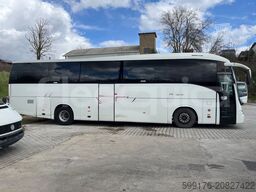 Irisbus New Domino