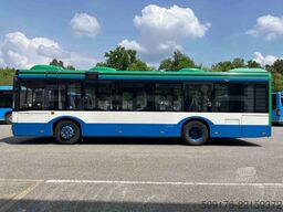 Solaris Urbino