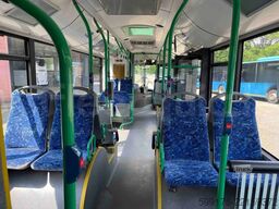 Solaris Urbino