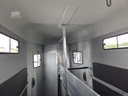 Cheval Liberté Cheva Liberté Touring Jumping Premium