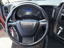 IVECO AS440S48T/P