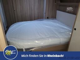 FENDT Tendenza 650 SFD Modell 2025