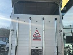 HUMBAUR Areion Shape 2,4t Pferdeanhänger ALU NEU