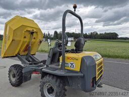 Wacker Neuson 3001