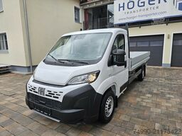 Fiat Ducato MAXI L4 Pritsche 4,2 Android Auto Nebels