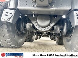 Tatra Phoenix 8x8, Stahlmulde ca. 22m³, hydr.