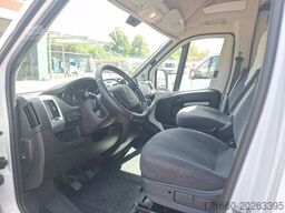 BÜRSTNER Campeo Black Forest C 600