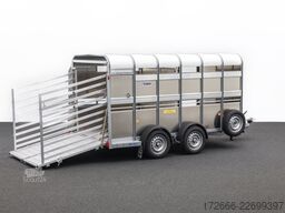 Ifor Williams TA510G | 12x6 | RAMPE-/TÜR-KOMBI 372X178X183CM VIEHANHÄNGER | 2X LÜFTUNG