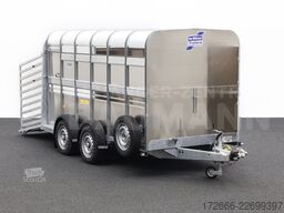 Ifor Williams TA510G | 12x6 | RAMPE-/TÜR-KOMBI 372X178X183CM VIEHANHÄNGER | 2X LÜFTUNG