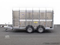 Ifor Williams TA510G | 12x6 | RAMPE-/TÜR-KOMBI 372X178X183CM VIEHANHÄNGER | 2X LÜFTUNG