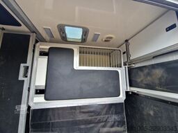 Opel Movano STX S3 paardenwagen automaat hengsten ui...