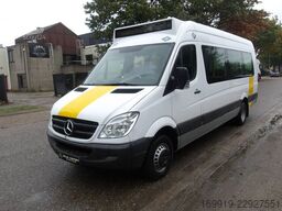 Mercedes-Benz Sprinter 513 CDI bus