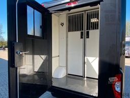 RENAULT Master STX Haras 3 Sitzer