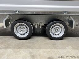 Variant 3519 TB 30 mit Blattfedern Dreiseitenkipper