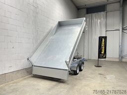 Variant 3519 TB 30 mit Blattfedern Dreiseitenkipper