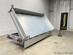 Variant 3519 TB 30 mit Blattfedern Dreiseitenkipper