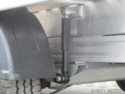 BLYSS Autotransporter 500x209x5cm 3500kg zGG
