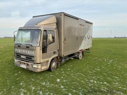 Iveco Pferdetransporter