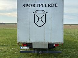 Iveco Pferdetransporter