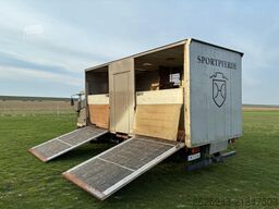 Iveco Pferdetransporter