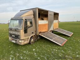 Iveco Pferdetransporter
