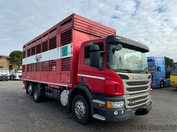 SCANIA P 320 TRASPORTO ANIMALE 6X2