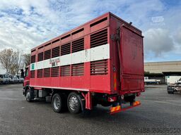SCANIA P 320 TRASPORTO ANIMALE 6X2