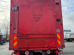 SCANIA P 320 TRASPORTO ANIMALE 6X2