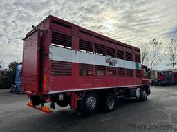 SCANIA P 320 TRASPORTO ANIMALE 6X2