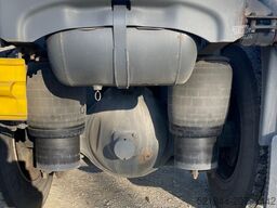 SCANIA Scania R 490 Topline Retarder Standklima