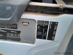 MERCEDES-BENZ 313CDI,Fahrgestell,Unfallschaden