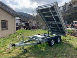 SARIS PK 30 3 Seitenkipper elektr. mit Zurrösen