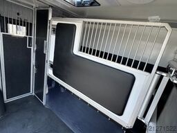 RENAULT Master ZF 9-GANG AUTOM. 2025er STX, 3-Haras