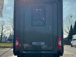 RENAULT Master ZF 9-GANG AUTOM. 2025er STX, 3-Haras