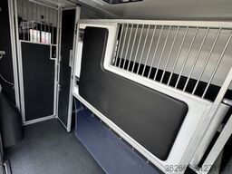 RENAULT Master ZF 9-GANG AUTOM. 2025er STX, 3-Haras