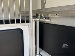 RENAULT Master ZF 9-GANG AUTOM. 2025er STX, 3-Haras