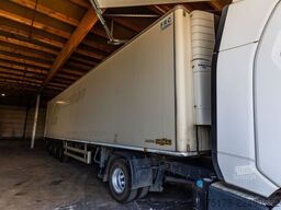 CHEREAU CHEREAU+CARRIER VECTOR 1350