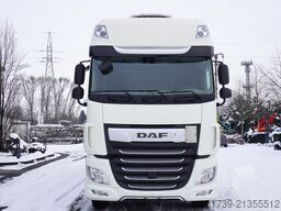 DAF XF 480 6x2 E6 / Schmitz 19 EPAL Doppelst