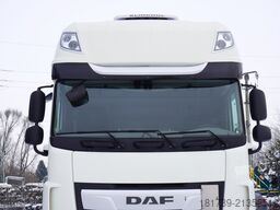 DAF XF 480 6x2 E6 / Schmitz 19 EPAL Doppelst
